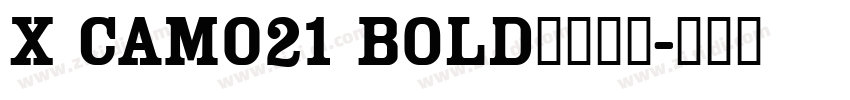 X CAM021 Bold字体下载字体转换